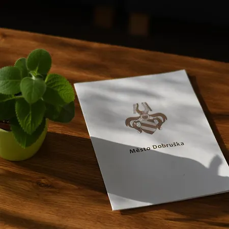 Hotel hotel Dobruška *