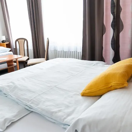 Hotel Dobruska *