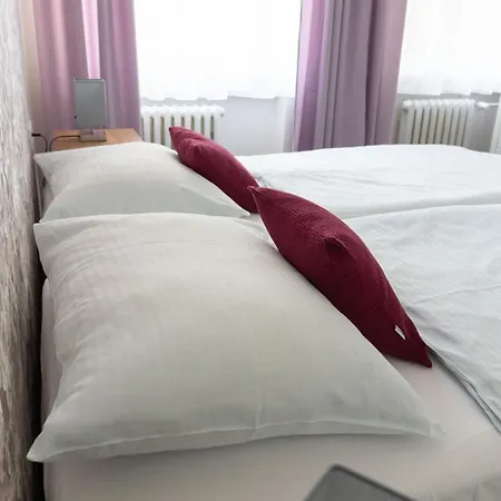 Hotel Dobruska * Dobruška
