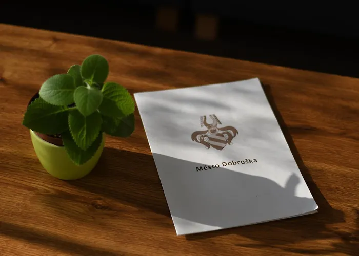 Hotel Hotel Dobruska *
